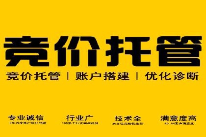 SEM代运营服务公司案例：提升搜索引擎排名